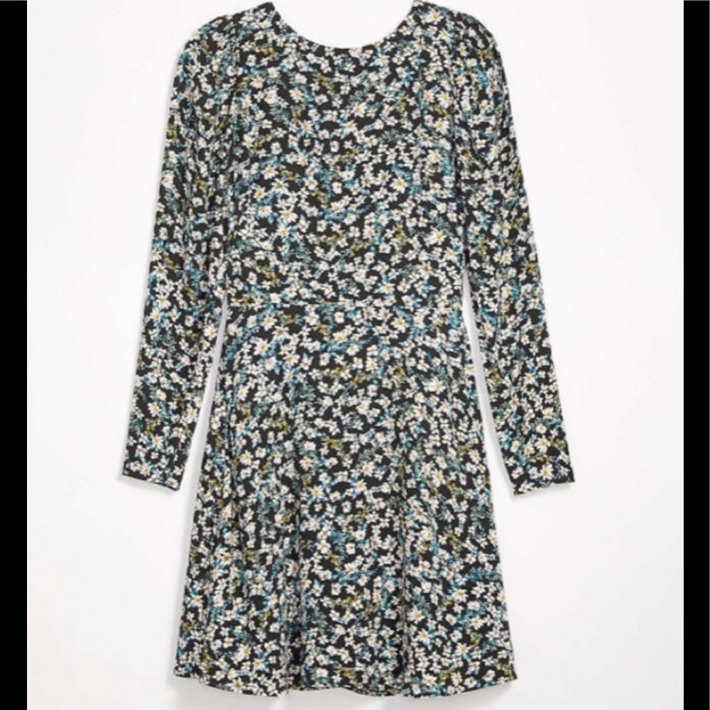 LOFT ✨NWTs✨ Floral Puff Sleeve Flare Dress
